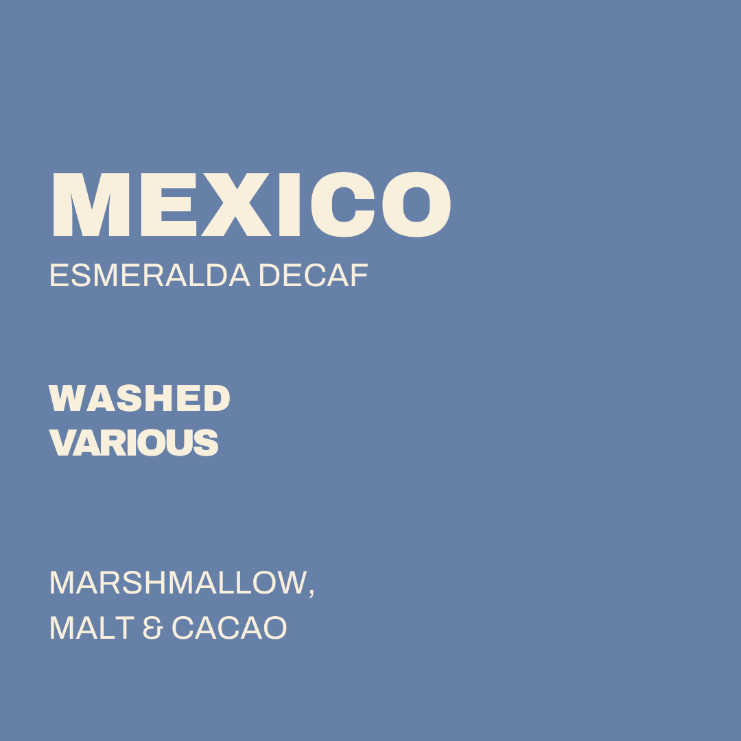 Mexico Esmeralda Decaf Dtroitr Bags 250g