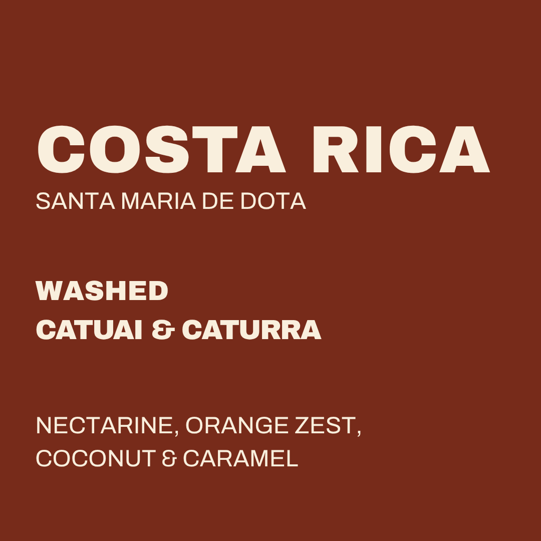 Costa Rica Santa Maria de Dota Dtroitr Bags 250g